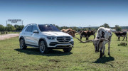 Mercedes-Benz có thể sẽ ra mắt GLE 580 sử dụng bản sửa đổi của động cơ AMG V8