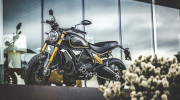 Ducati Scrambler 1100 Pros sẽ ra mắt vào ngày 27/1 tới - Đối thủ đáng gờm của Triumph Scrambler 1200