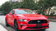 Ford Mustang Premium 2019 đầu tiên cập bến Việt Nam, giá hơn 3,1 tỷ đồng
