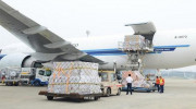“Ông trùm” hàng hiệu xin mở hãng hàng không chở hàng hóa