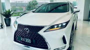 Cận cảnh Lexus RX300 2020 - Đối thủ của BMW X5 với giá 3,18 tỷ đồng tại Việt Nam