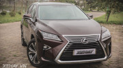 Lexus Việt Nam thông báo triệu hồi dòng RX350 vì lỗi hộp số