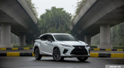 Lexus RX là mẫu xe sang bị ăn trộm nhiều nhất: Cứ 16 chiếc bán ra thì có một chiếc bị mất cắp