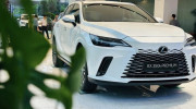 Cận cảnh Lexus RX 350h 2025 tại đại lý