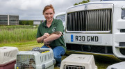 Rolls-Royce Cullinan được dùng để cứu hộ đàn vịt con mồ côi mẹ ở Goodwood