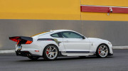 Ngó nghiêng bản độ Shelby GT500 Mustang và F-150 Street trước thềm SEMA 2019