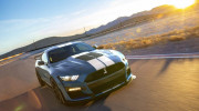 Shelby Mustang GT500 Signature Edition 