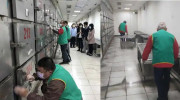 Đài Loan áp dụng biện pháp xử phạt “độc nhất vô nhị” đối với lái xe say rượu