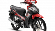 Honda Wave Alpha 2020 chính thức ra mắt, giá từ 25 triệu VNĐ