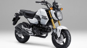 Honda Grom 2024 trình làng: Xe côn tay thể thao, giá từ 63,9 triệu VNĐ