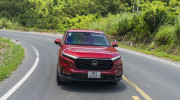 Honda Việt Nam bán được 152.132 xe máy và 1.381 ô tô trong tháng 06/2024