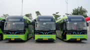 Liên Ninh chuyển đổi 100% sang xe buýt điện VinFast