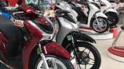 Nghi vấn đại lý bán xe 2 giá để trốn thuế, Tổng cục Thuế nói gì?