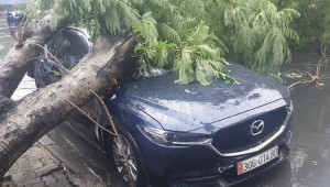 Hà Nội: Mưa dông lớn làm cây xanh bật gốc, đè trúng chiếc Mazda CX-5 đang đỗ ven đường