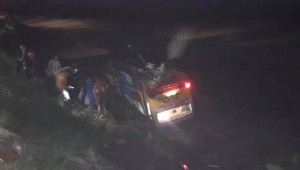 Xe buýt tông trúng trâu rồi lật ngửa xuống ruộng