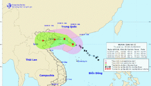 Dự báo thời tiết: Chiều nay, bão Wipha giật cấp 12 tràn vào Vịnh Bắc bộ, miền Bắc phòng mưa lũ lớn