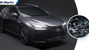 Lexus sắp ra mắt mẫu PHEV NX Plug-in Hybrid 302 mã lực ?