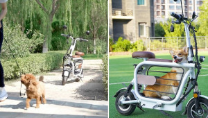 Xe điện Mopet không chỉ nhỏ gọn mà còn được tích hợp cả... chuồng dành cho thú cưng