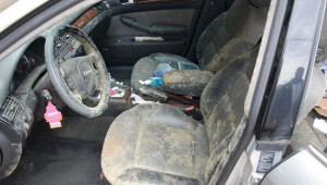 Chiếc xe sang Audi phủ đầy mốc chỉ sau 3 tuần nằm kho