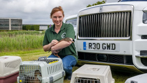 Rolls-Royce Cullinan được dùng để cứu hộ đàn vịt con mồ côi mẹ ở Goodwood