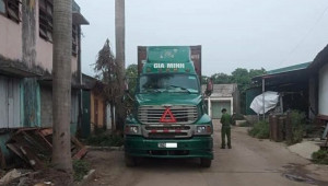 Hà Nội: Trèo cây hái nhãn, một tài xế xe Container ngã tử vong