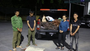Quảng Ninh: Bắt giữ nhóm đối tượng trộm cắp cáp điện trên cao tốc Vân Đồn - Móng Cái