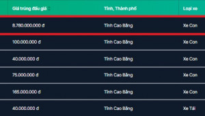 Biển số ô tô 11A-111.11 đã được người trúng đấu giá nộp đủ 8,78 tỷ đồng