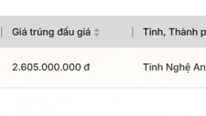 Phiên đấu giá biển số xe thứ 8 mở màn sôi động, thu về gần 63 tỷ đồng