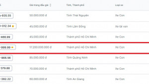 Đấu giá lại lần 3, biển vip 51K-999.99 được chốt giá 17,2 tỷ đồng