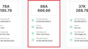 Biển số Vĩnh Phúc 88A-666.66 chốt giá gần 7 tỷ đồng trong lần đầu giá thứ hai
